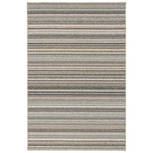 Carnival Stripe 3 ft. x 5 ft. Random Earth Tone Indoor Throw Rug