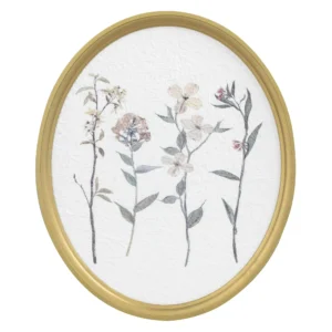 Wild Pressed Botanicals Oval Framed Art 20